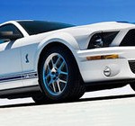 shelby gt500